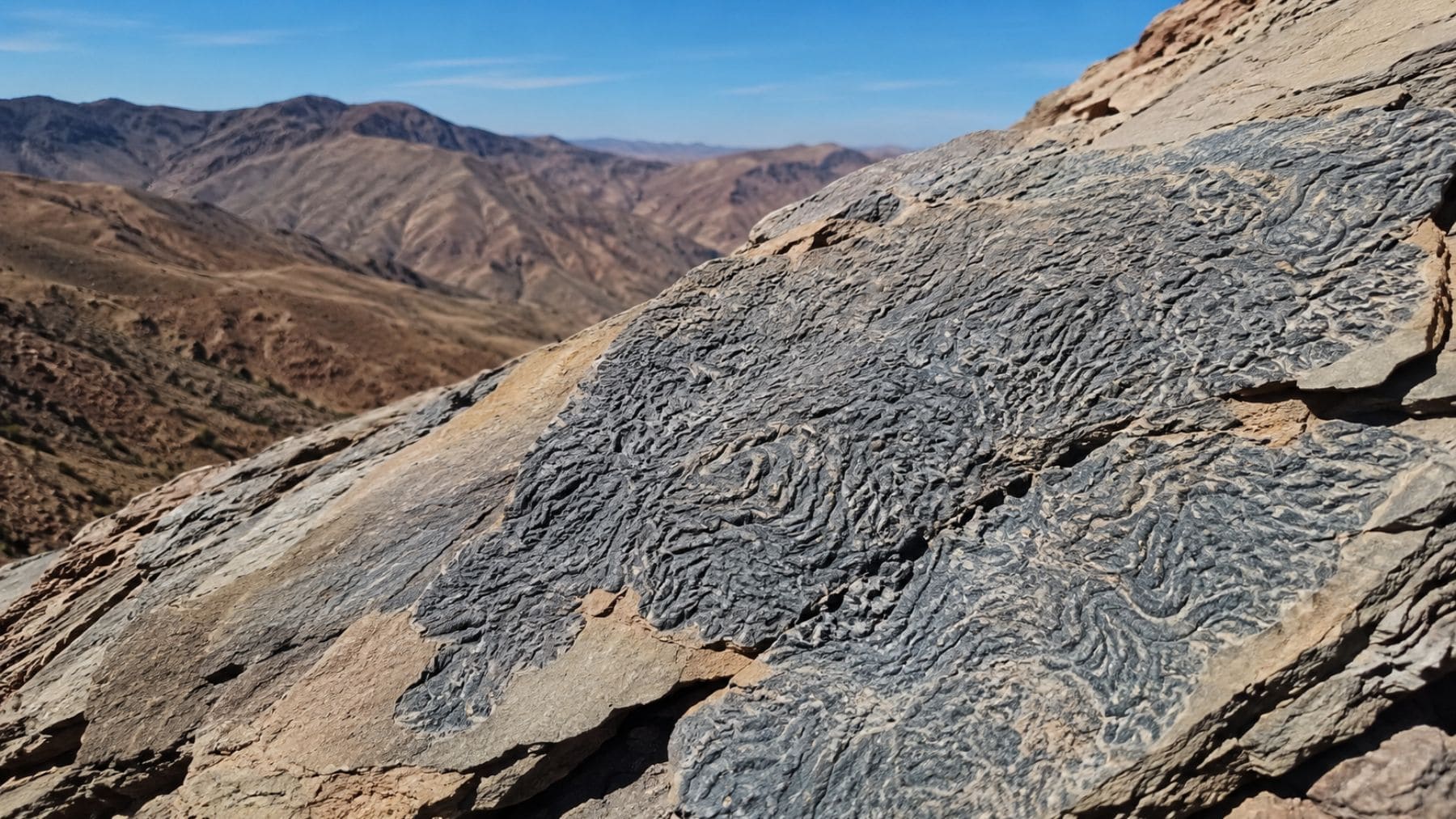 Formaciones rocosas con arrugas fósiles en el Alto Atlas de Marruecos, antiguo fondo marino profundo del Jurásico.