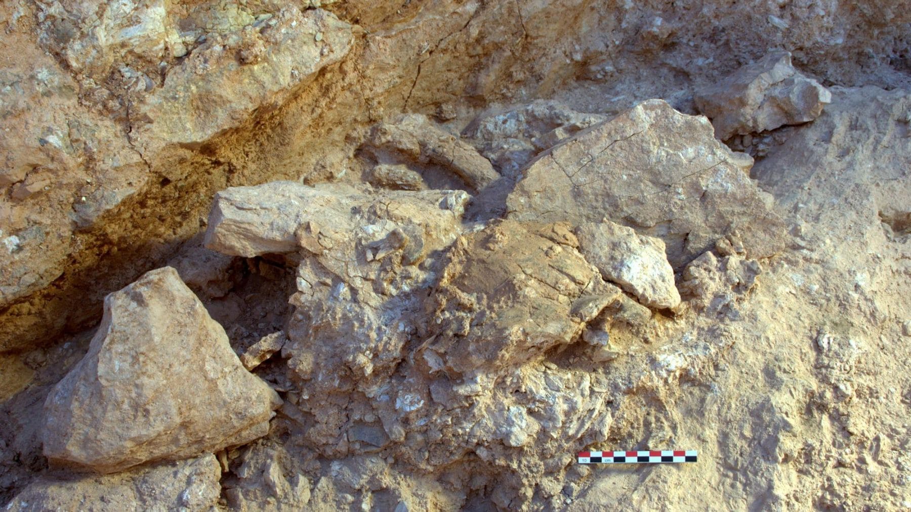 Excavación de restos humanos de 773.000 años hallados en Thomas Quarry, Marruecos.