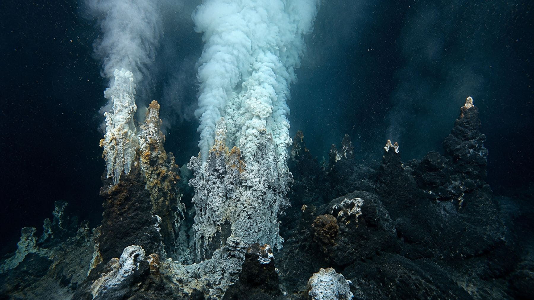 Chimeneas hidrotermales en el océano primitivo donde surgieron formas de vida que usaban molibdeno hace 3000 millones de años