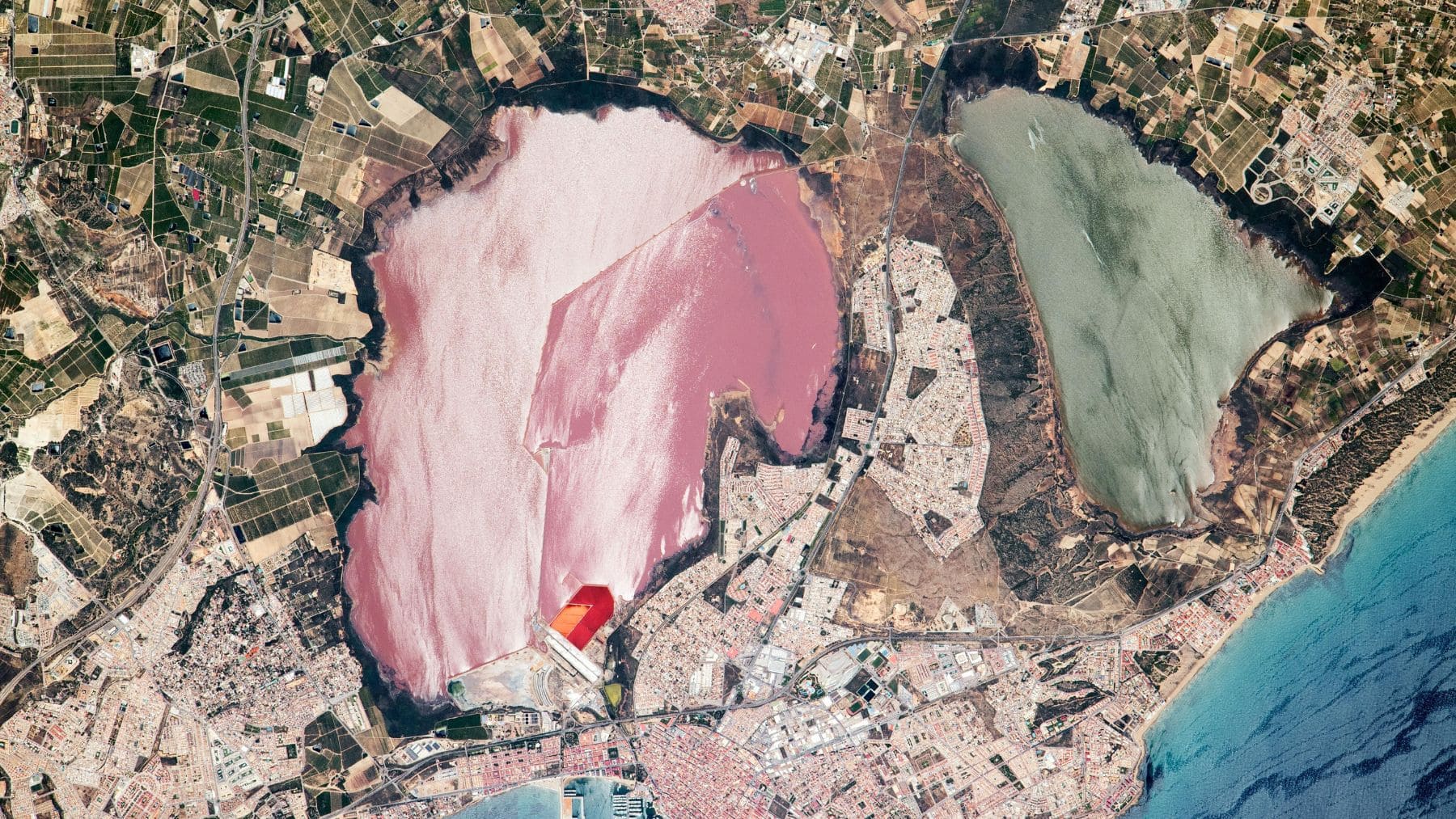 Imagen de la NASA de la laguna rosa de Torrevieja vista desde el espacio junto a la laguna de La Mata.