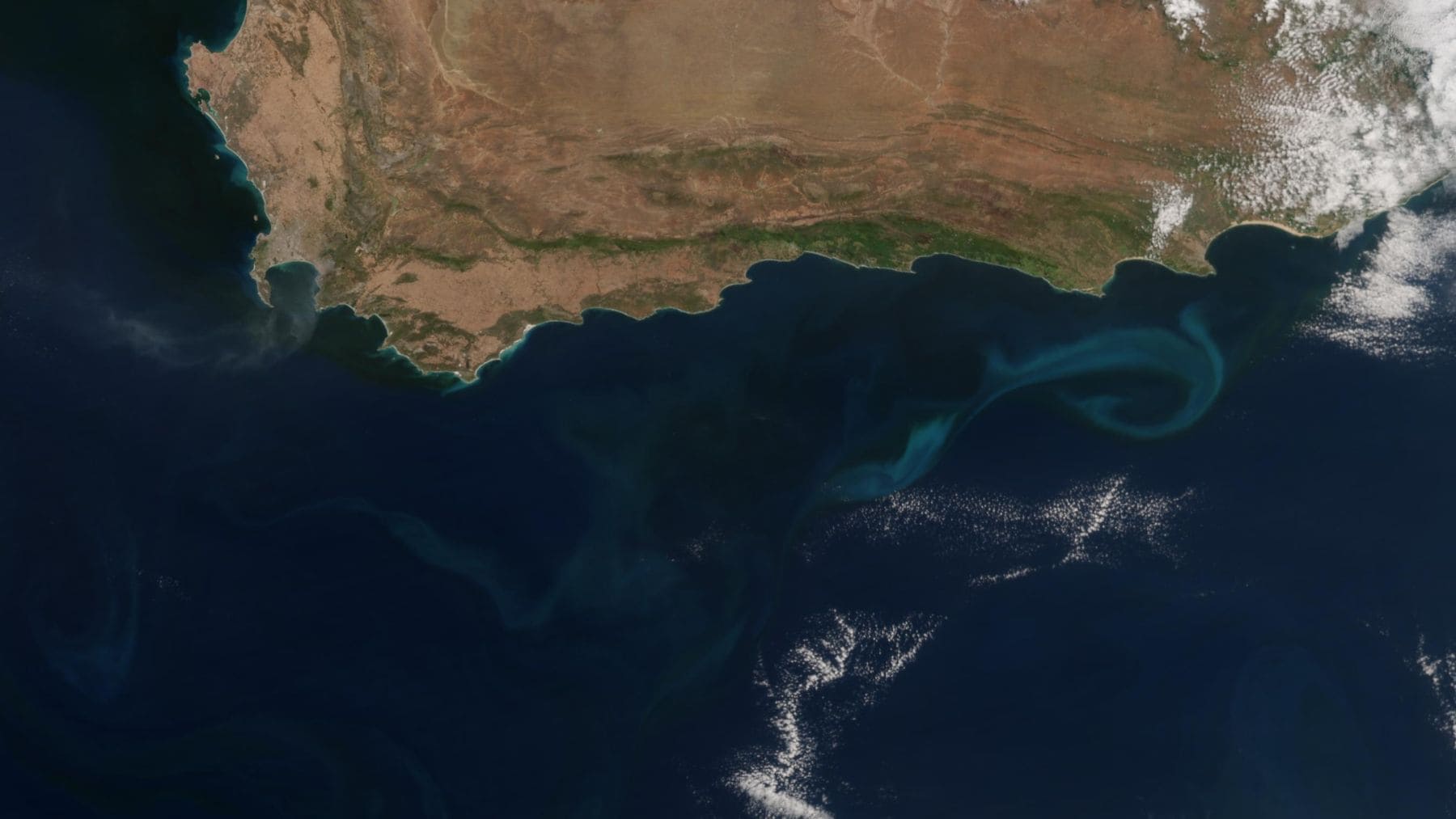 Remolinos oceánicos en la Corriente de Agulhas frente a Sudáfrica observados por satélite