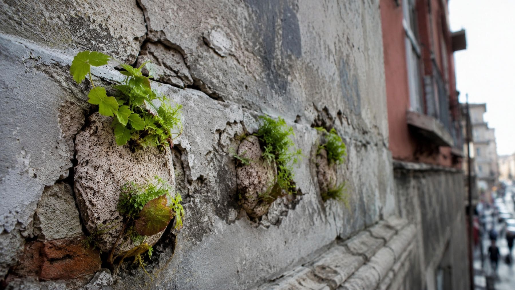 Pegatinas biodegradables con plantas creciendo sobre grietas en una fachada urbana en Turquía.