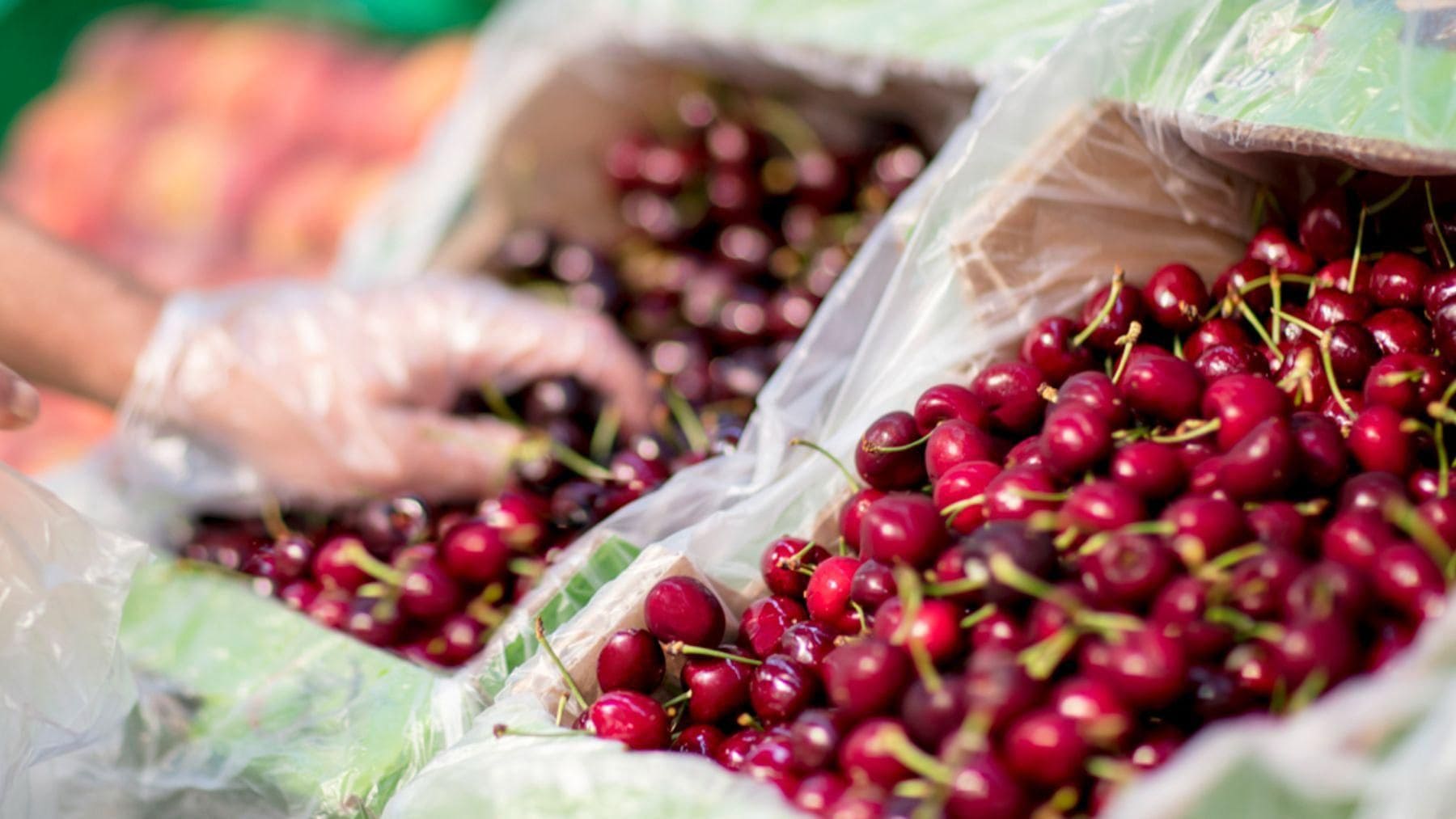 Cerezas españolas seleccionadas para la campaña de Mercadona de 2026.