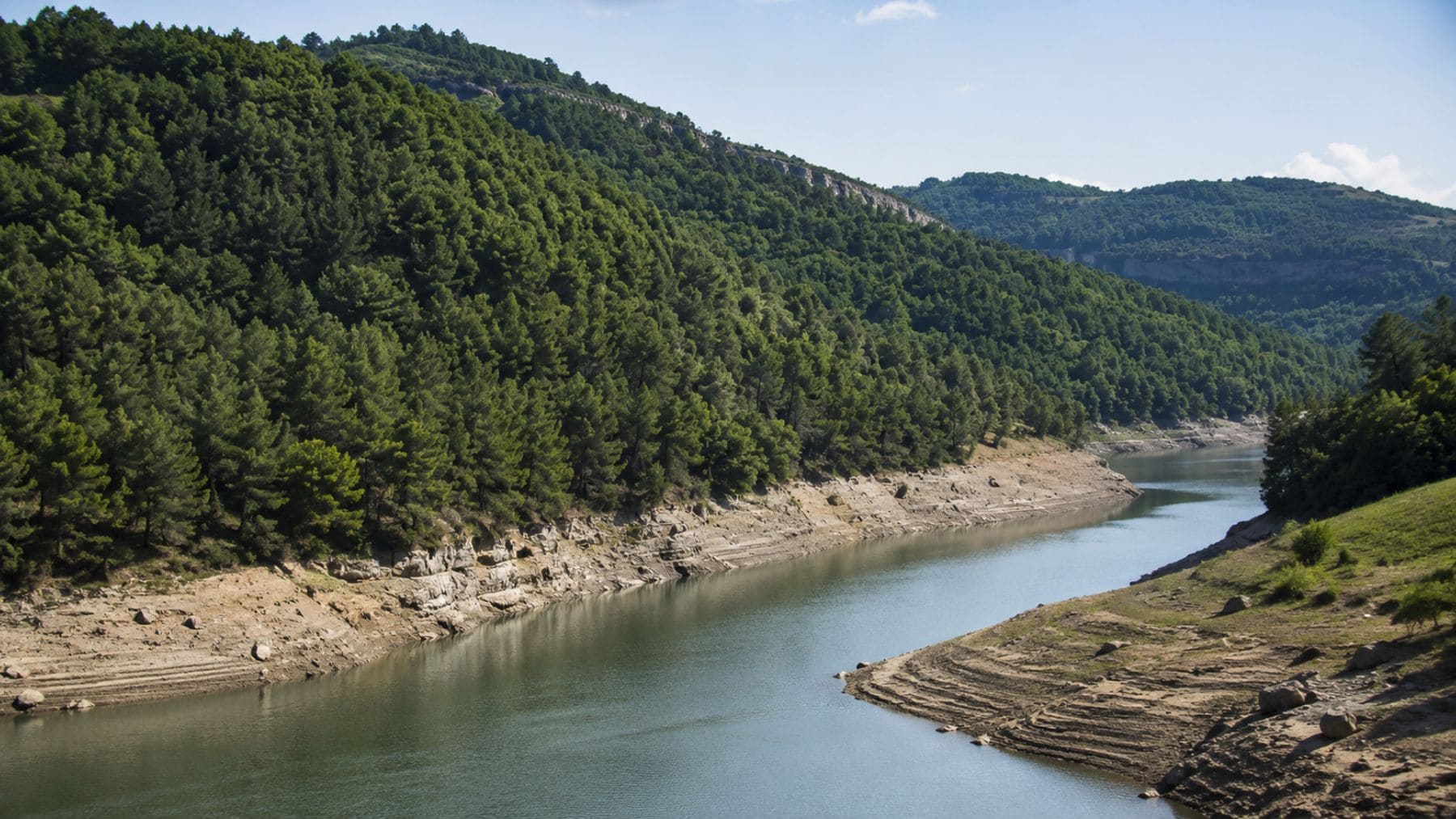 Bosque mediterráneo denso junto a un río con bajo caudal en España tras décadas de aumento de vegetación forestal.