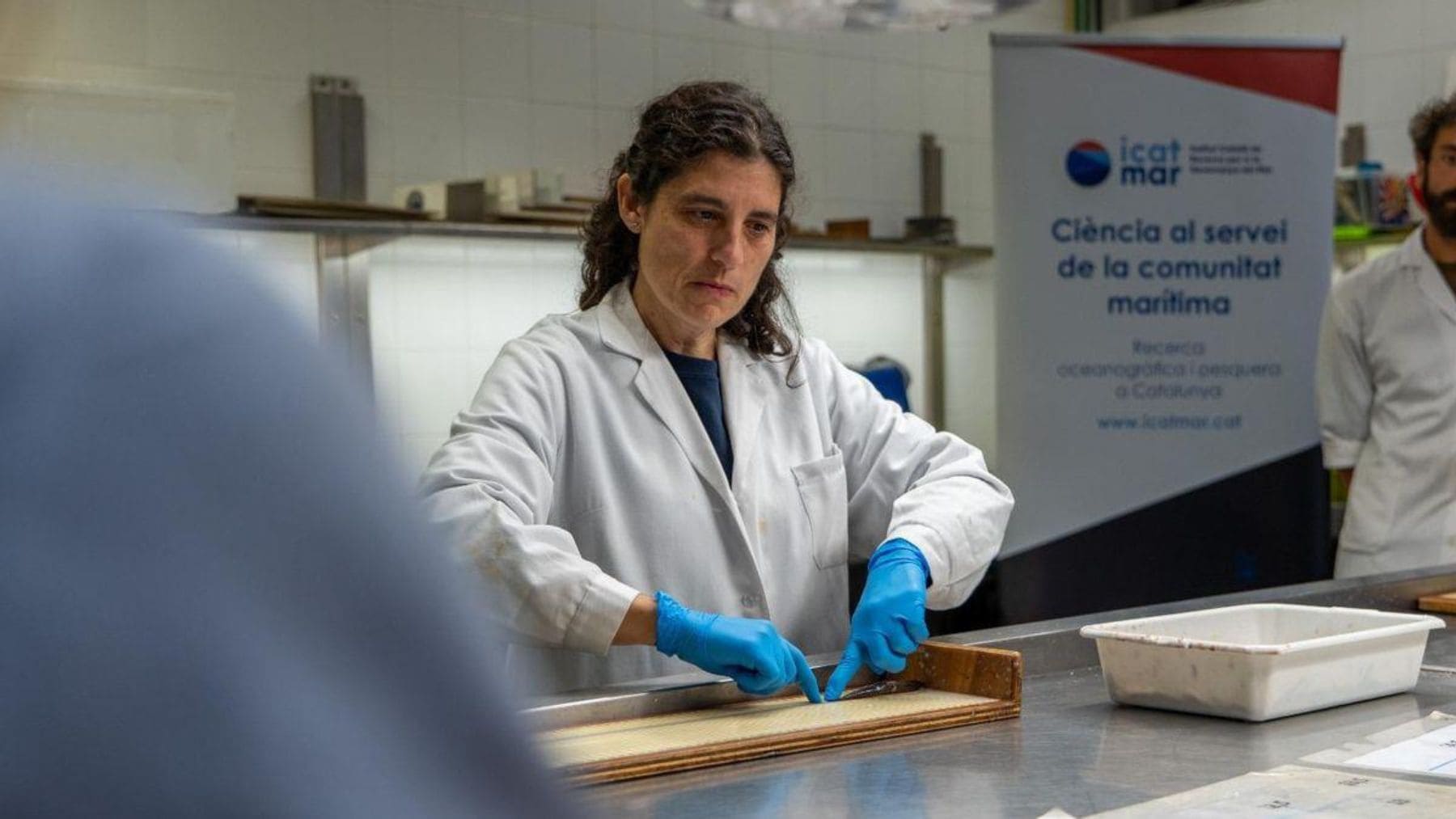 Investigadora analiza pescado en laboratorio durante un estudio sobre la migración de compuestos plásticos desde envases a alimentos.