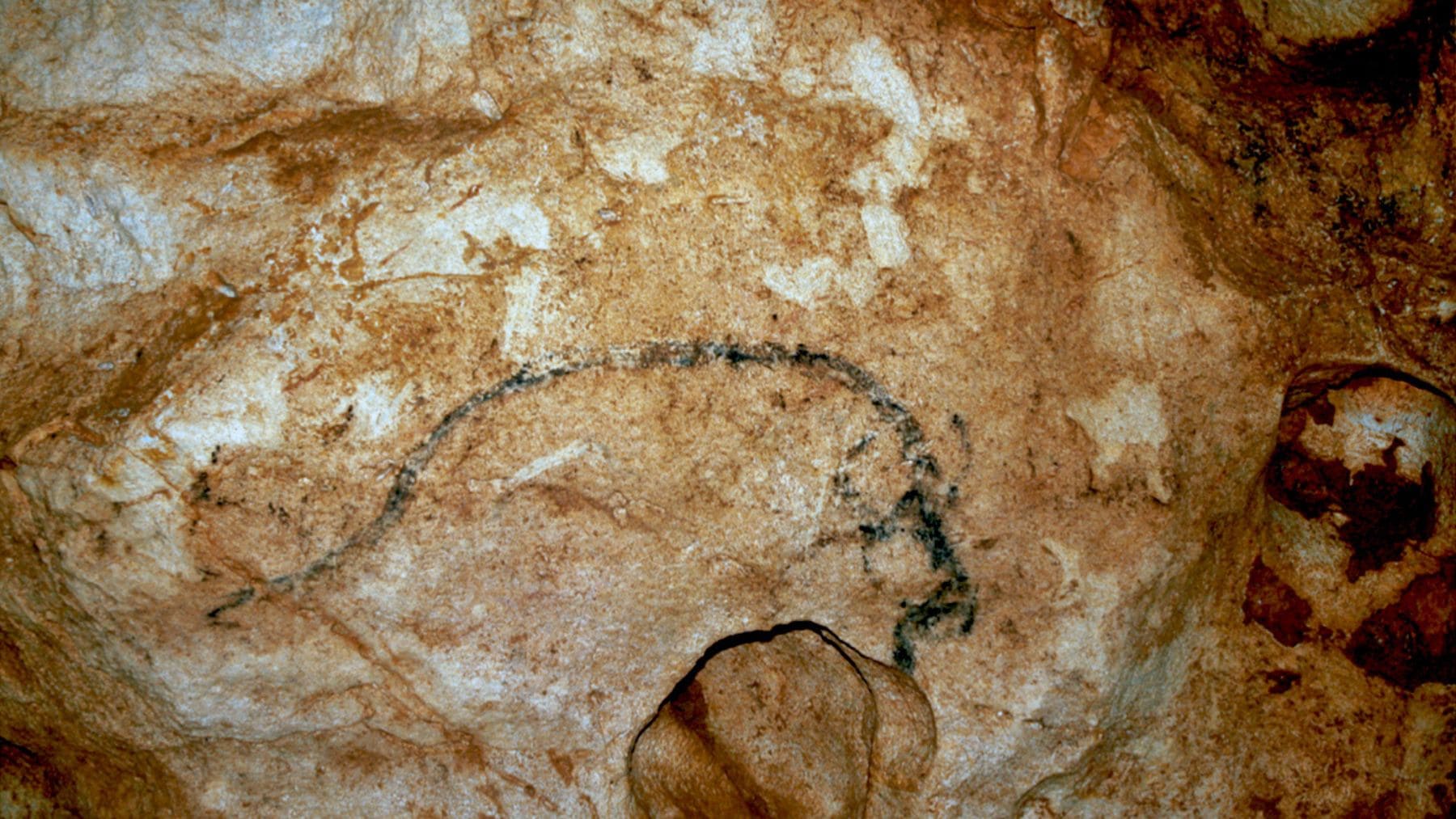 Pintura paleolítica de un bisonte realizada con carbón en la cueva de Coliboaia, en Rumanía, con más de 31.000 años de antigüedad