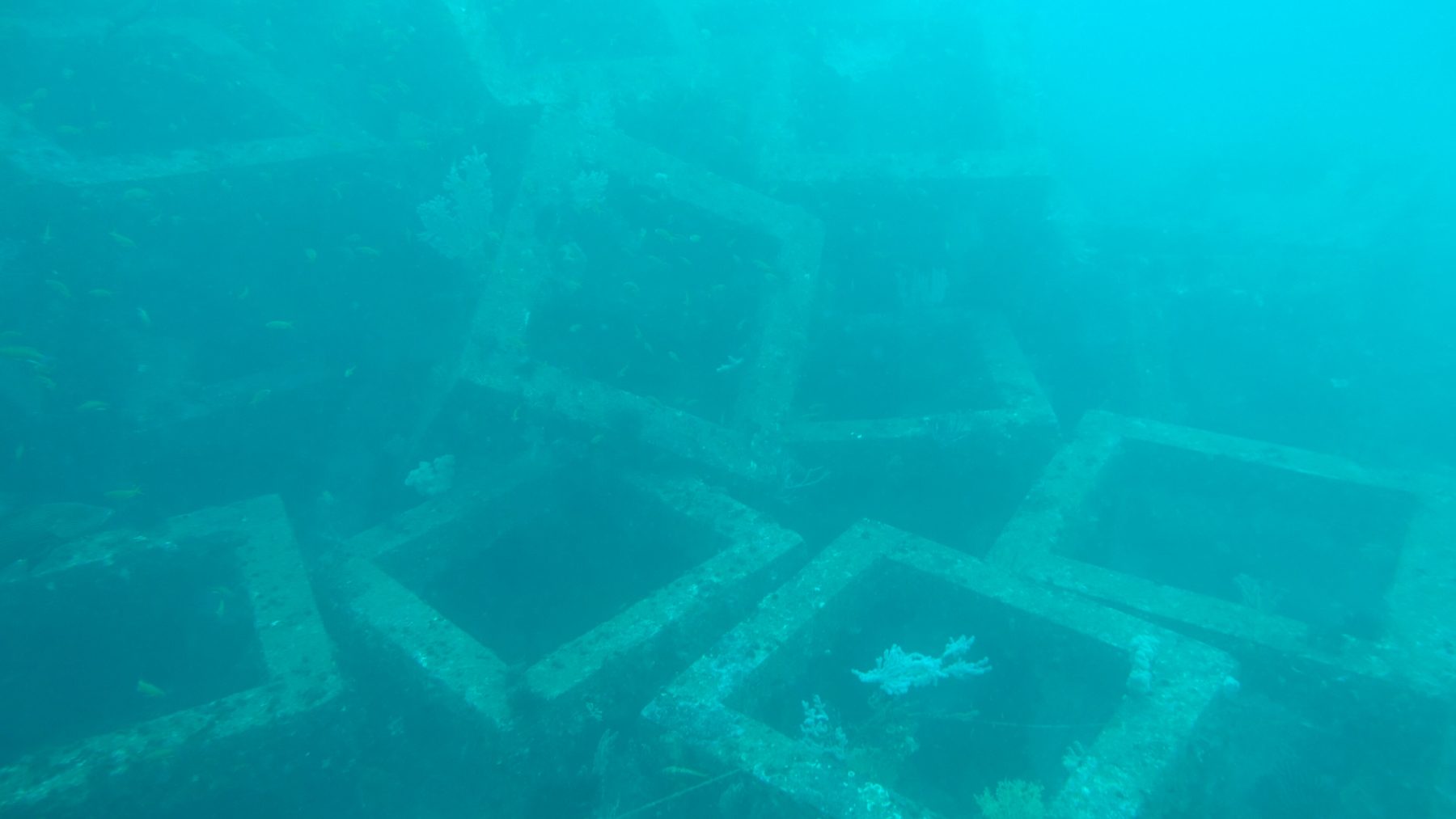 Bloques de un arrecife artificial en el fondo marino