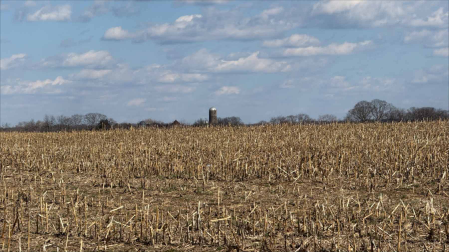 Campo de cultivo con rastrojos bajo un cielo con nubes en Pensilvania
