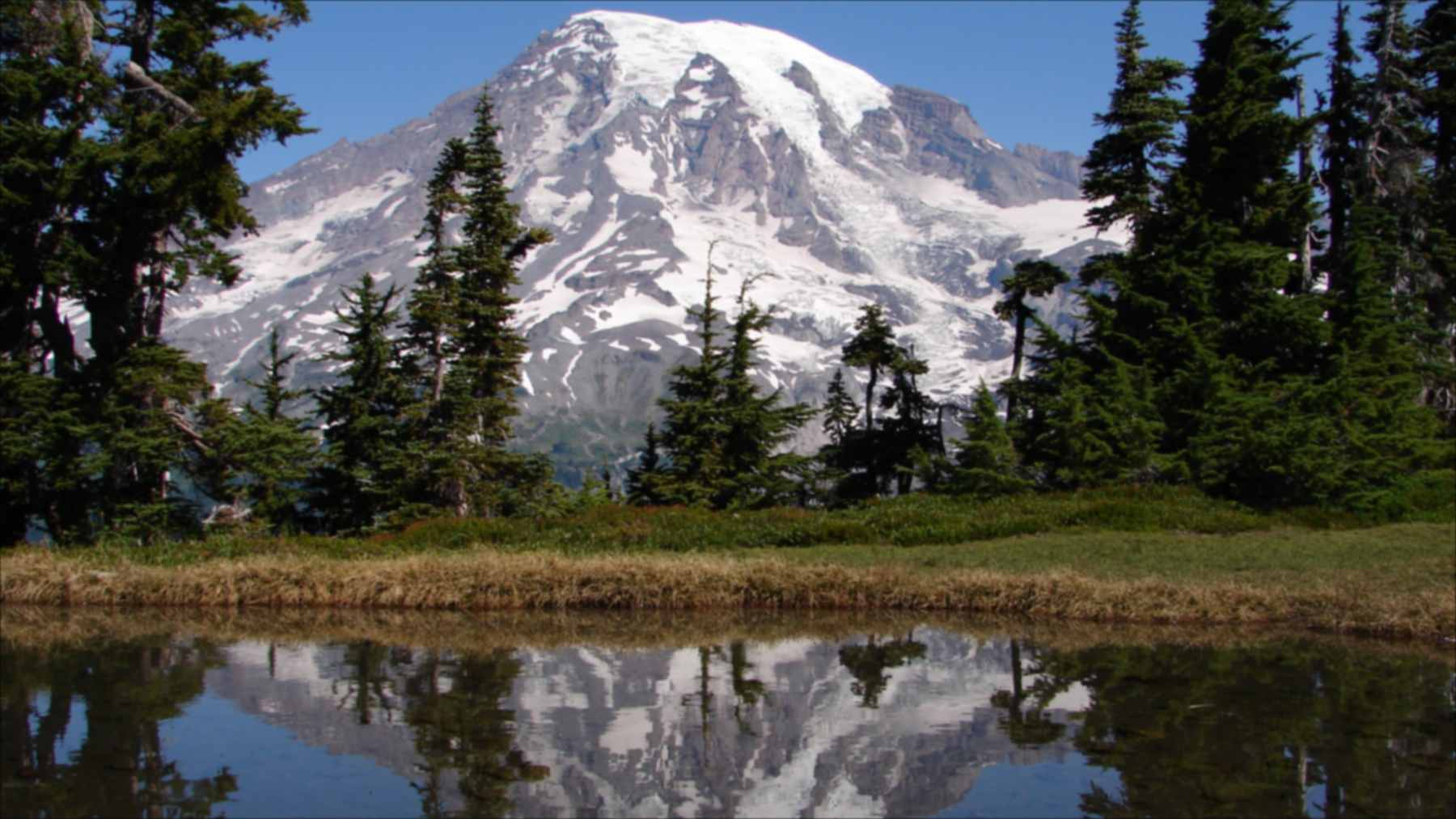 El Monte Rainier nevado reflejado en un lago rodeado de bosque