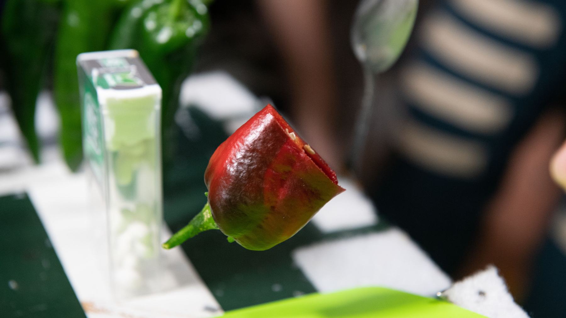 Un pimiento rojo cultivado a bordo de la Estación Espacial Internacional