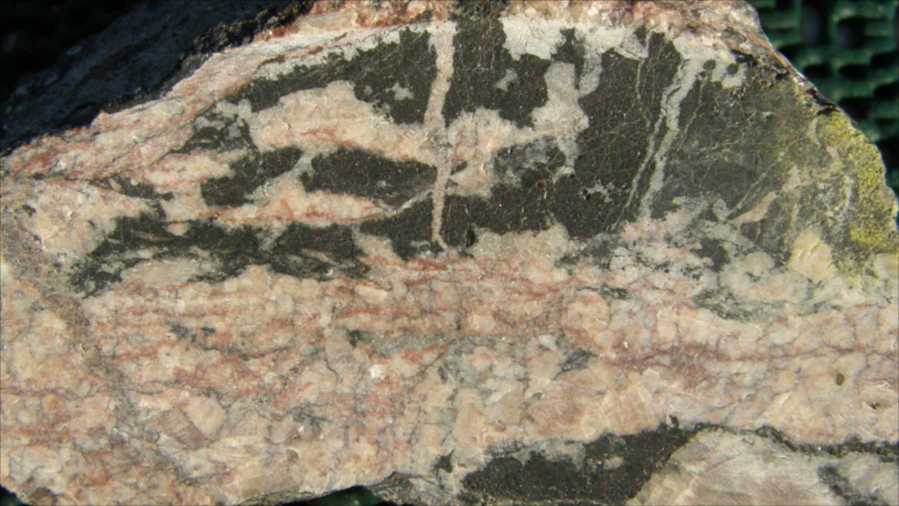 Fragmento de roca con vetas oscuras de pechblenda, el principal mineral de uranio