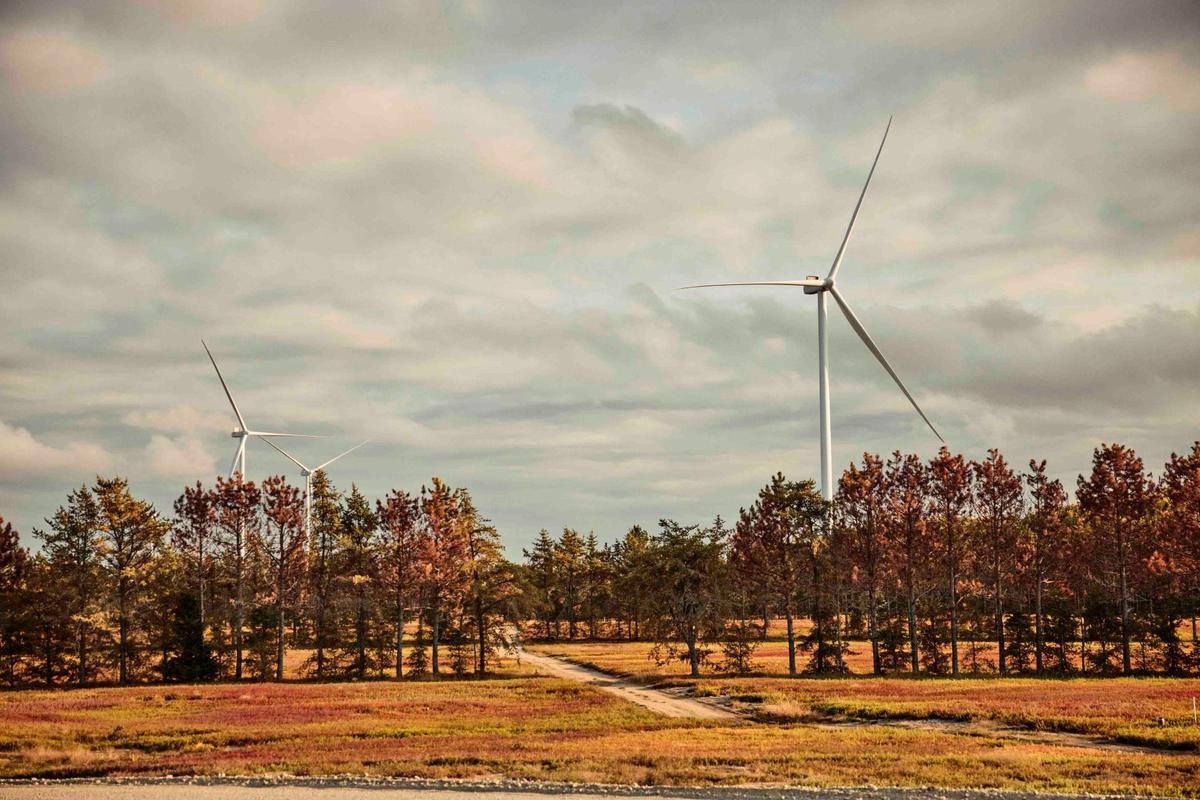 Tres aerogeneradores de Downeast Wind detrás de una hilera de árboles en Columbia (Maine)