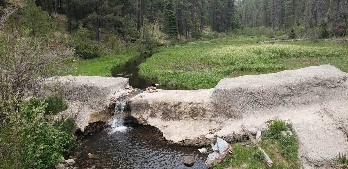 Antigua barrera de hormigón de Big Bonito Creek, en el hábitat de la trucha apache, con una pradera y un pinar detrás