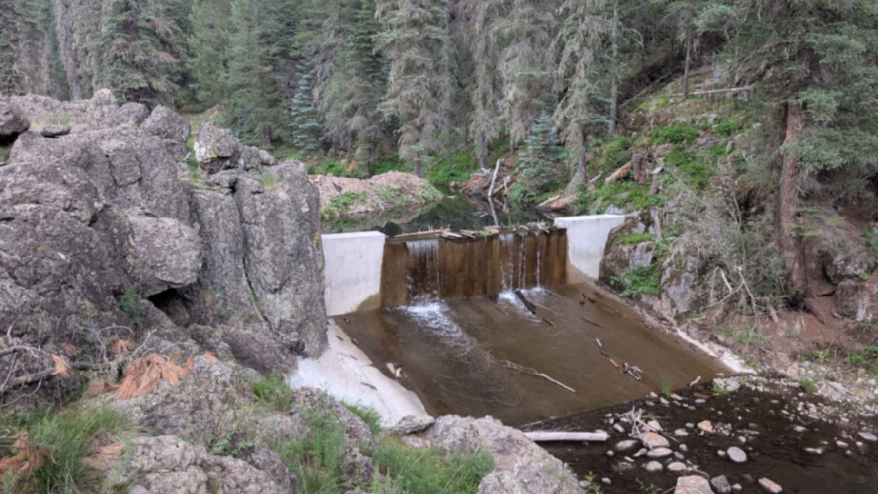 Nueva barrera para proteger a la trucha apache en Big Bonito Creek, Arizona, con el agua cayendo por un aliviadero entre rocas y coníferas