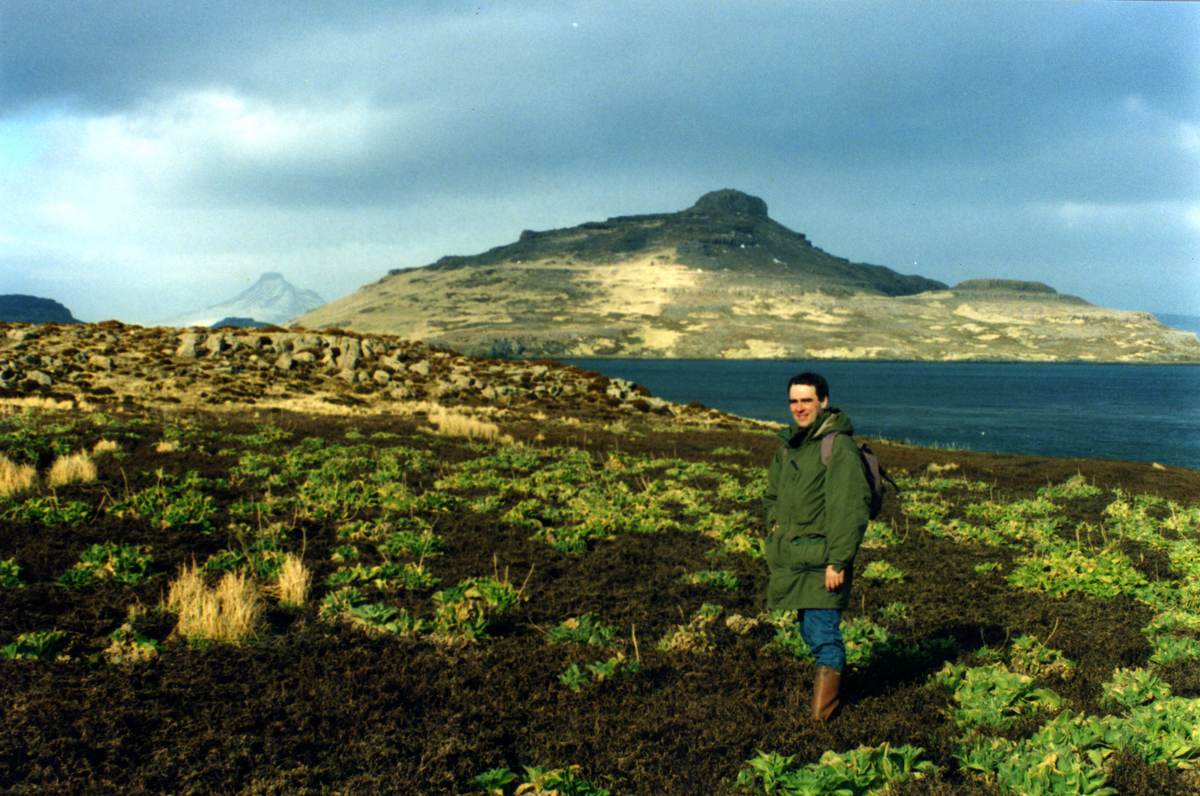 Coles de Kerguelen creciendo entre el suelo oscuro de la isla Mayes, con una persona de pie y el mar al fondo