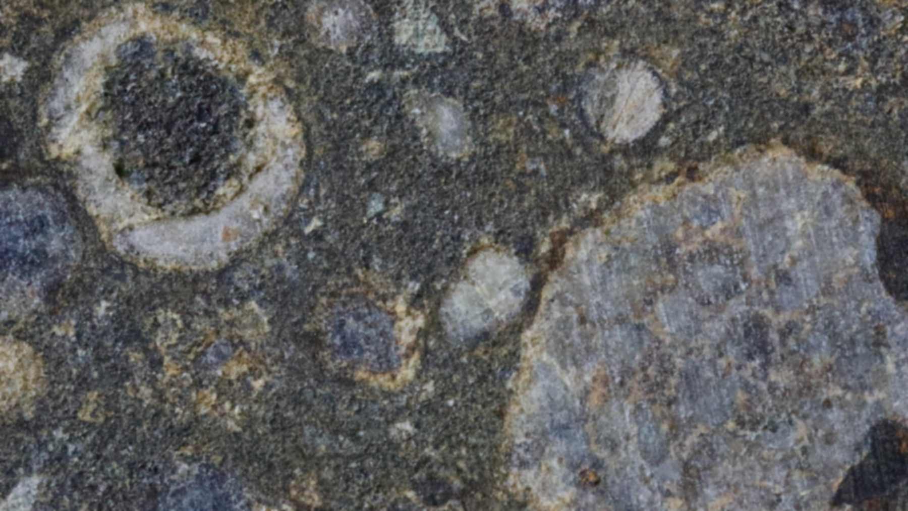 Condrita carbonácea CV3 con cóndrulos, una roca distinta de los meteoritos de hierro del estudio