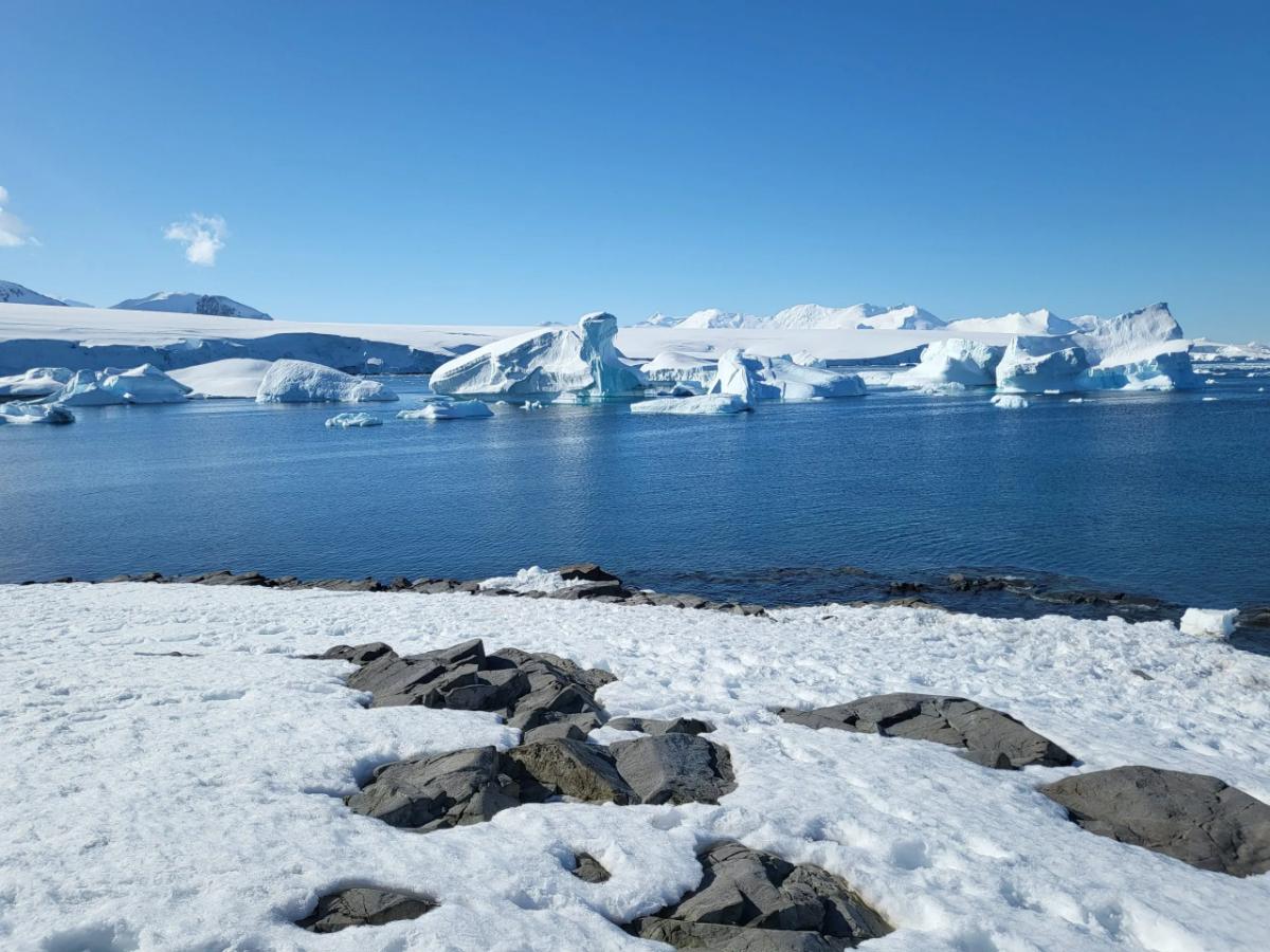Costa antártica cubierta de nieve, con rocas en primer plano y hielo junto al mar