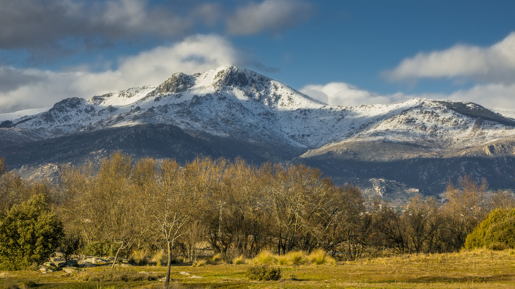 Cumbres nevadas de la sierra de Guadarrama bajo un cielo azul con nubes, sobre un prado con árboles sin hojas en primer plano