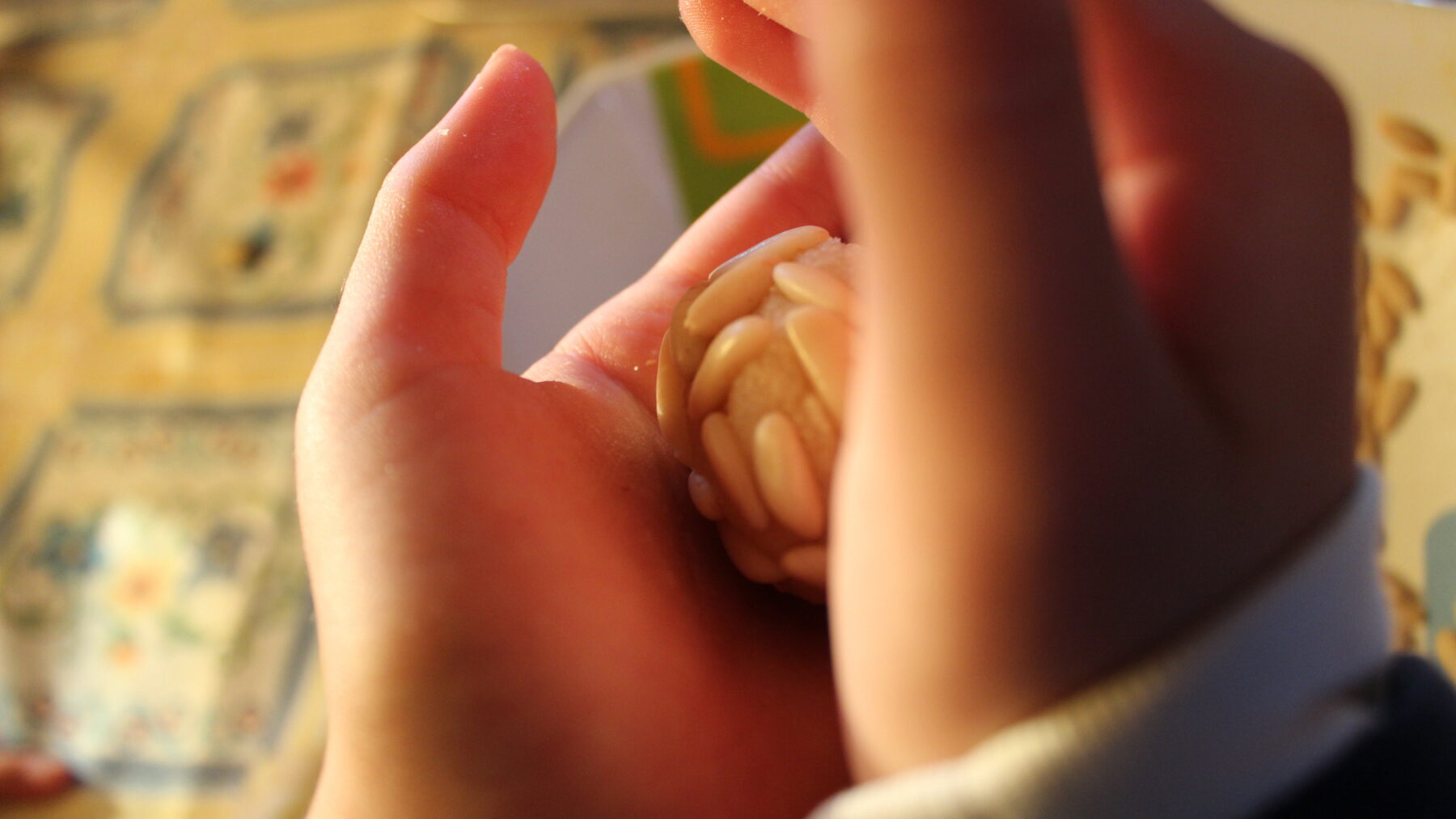 Elaboración de panellets, pequeños dulces de mazapán típicos de Todos los Santos en Cataluña