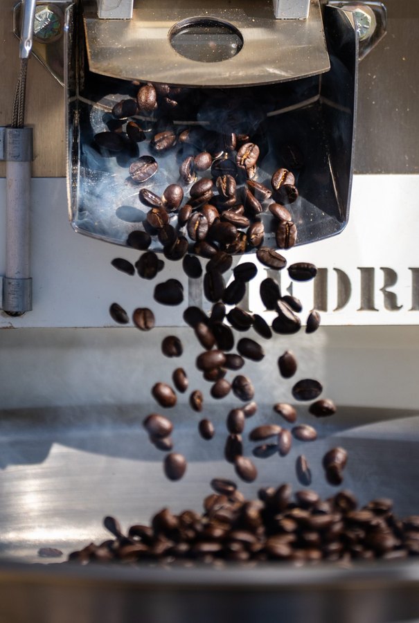 Granos de café tostados con energía solar almacenada cayendo del tostador en Sandia