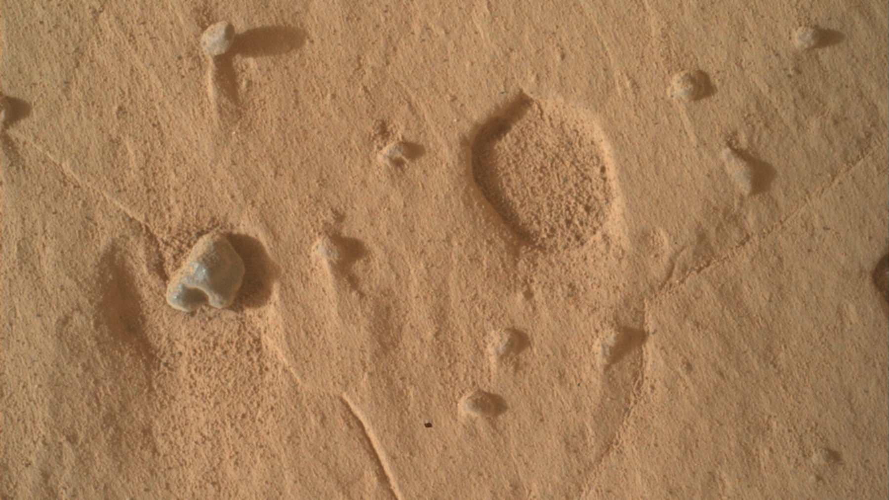 Hoyo ancho y poco profundo de alrededor de 1 centímetro en el lecho de roca del monte Sharp, comparado con huellas en Marte, fotografiado por la cámara MAHLI del rover Curiosity