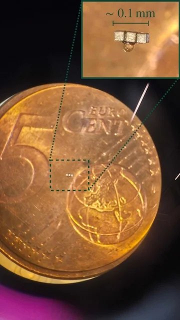 El diminuto imán del experimento POLONAISE sobre una moneda de 5 céntimos de euro, con un recuadro ampliado