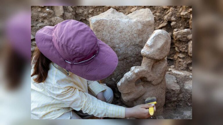karahantepe figura leopardo excavacion