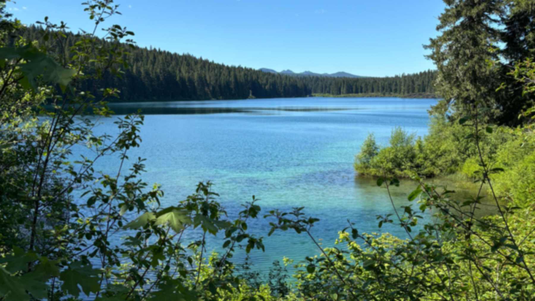 Lago Clear, alimentado por manantiales, en las Cascadas de Oregón, donde nace el río McKenzie