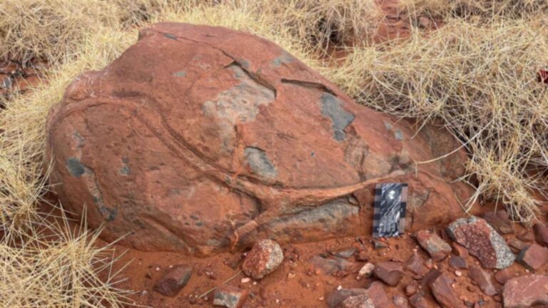 lava almohadilla pilbara