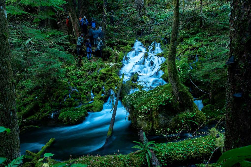 Científicos junto a un manantial de gran caudal entre musgo y bosque en las Cascadas de Oregón