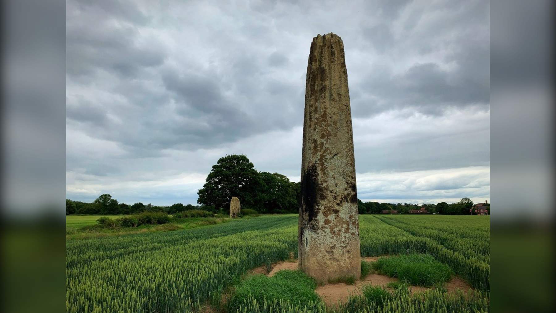 Uno de los menhires de las Flechas del Diablo, en Boroughbridge, en medio de un campo de cultivo