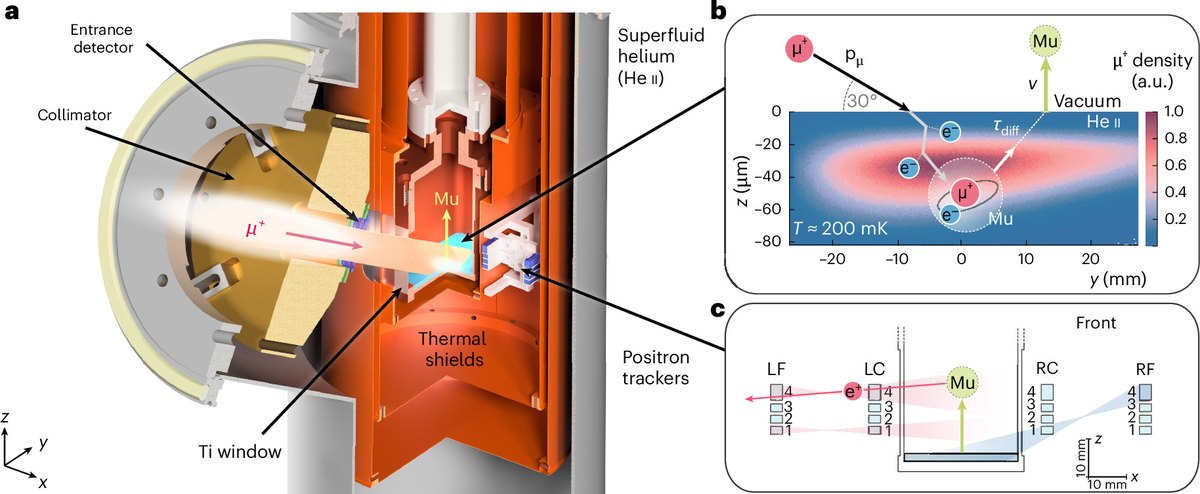 Esquema del experimento del PSI en el que antimuones atraviesan una capa de helio superfluido y salen átomos de muonio para poner a prueba la gravedad de Einstein