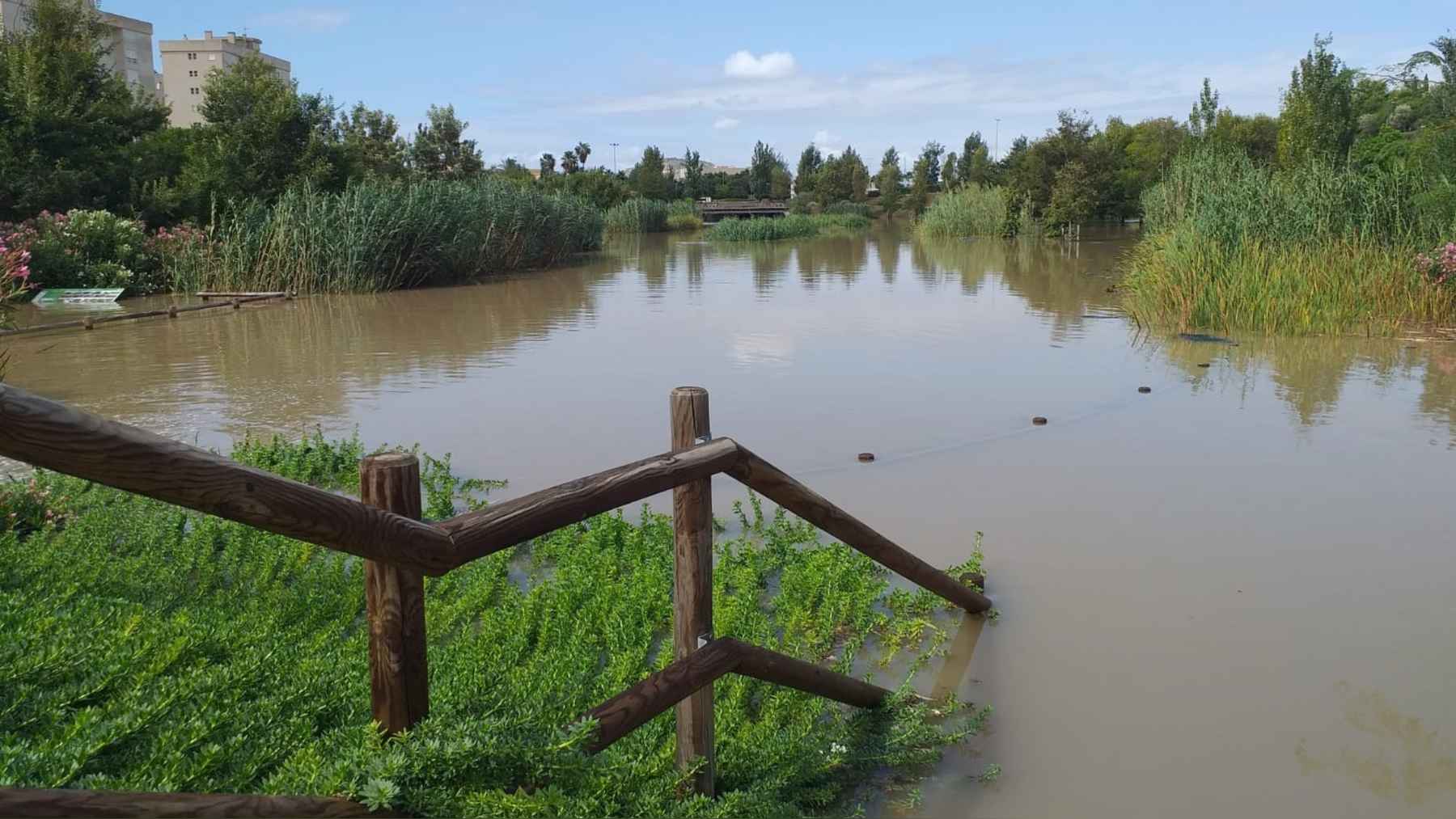 El parque inundable La Marjal de Alicante con la cubeta llena de agua y una escalera de madera que se pierde bajo el agua