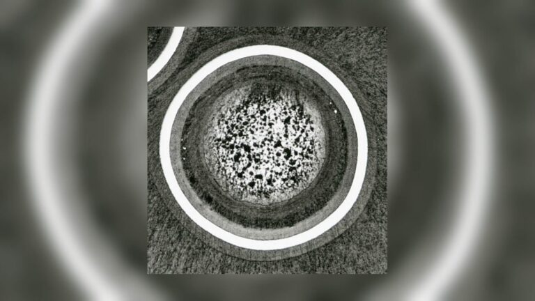 Corte al microscopio de una partícula irradiada de combustible TRISO del ensayo AGR-2 con sus capas concéntricas