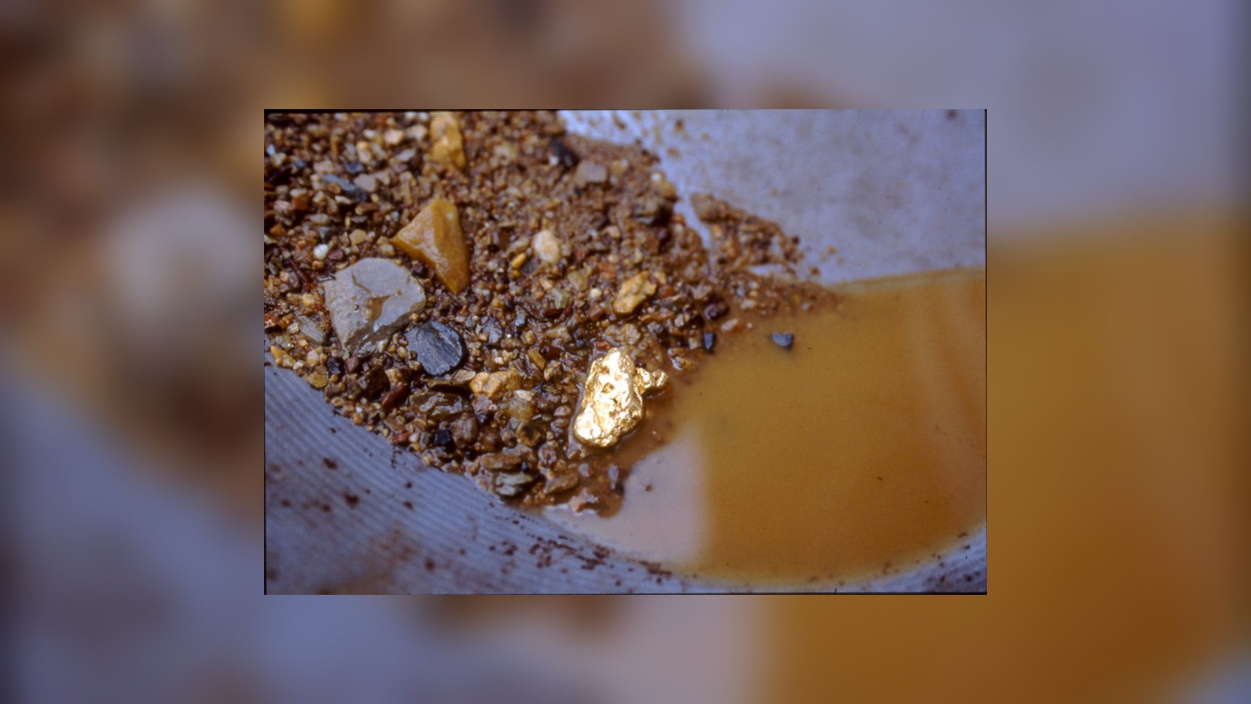 Pepita de oro entre grava y arena en una batea con agua en Reed Gold Mine, Carolina del Norte