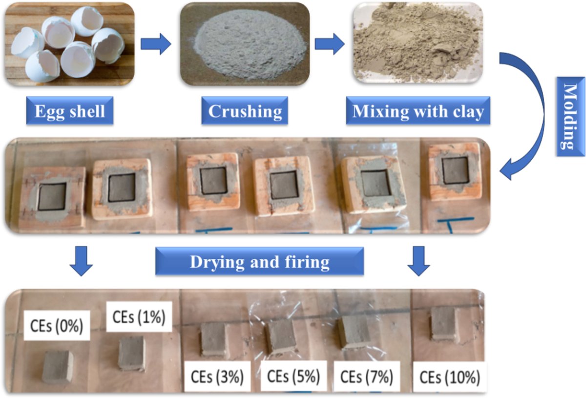 Proceso de fabricación de los ladrillos con cáscara de huevo: cáscaras, polvo triturado, mezcla con arcilla, moldes y piezas cocidas del 0 al 10 %
