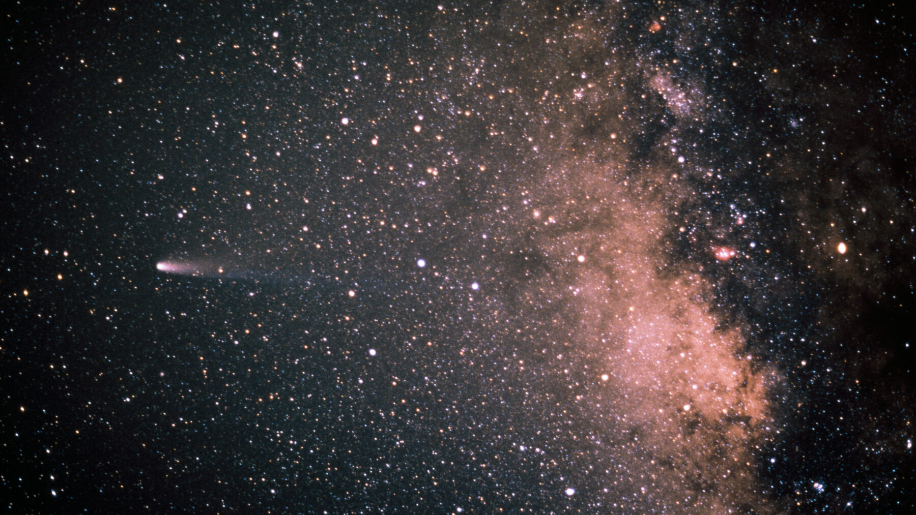 El cometa Halley con su cola, a la izquierda, junto a la Vía Láctea rosada en un campo de estrellas
