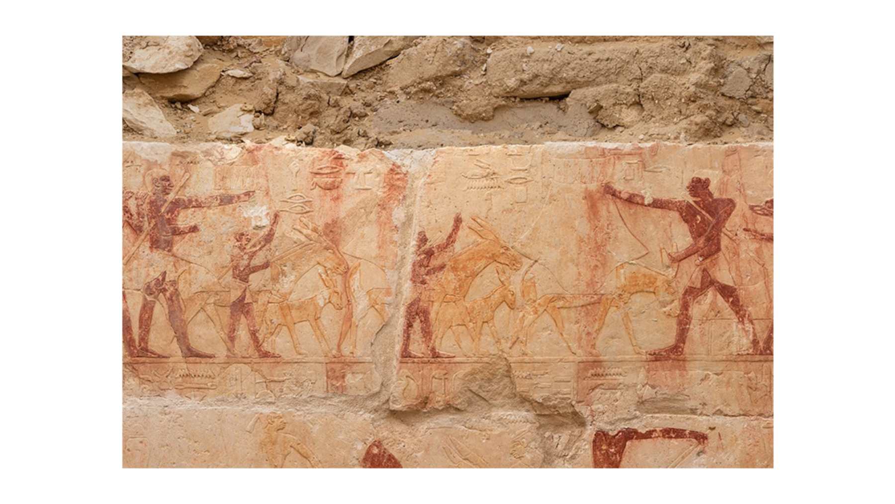 Relieves con escenas agrícolas en la tumba de Yunmin e Iti descubierta en Saqqara