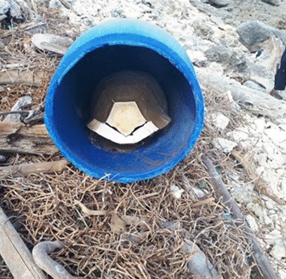 Caparazón de una tortuga gigante muerta dentro de un bidón de plástico azul varado en Aldabra