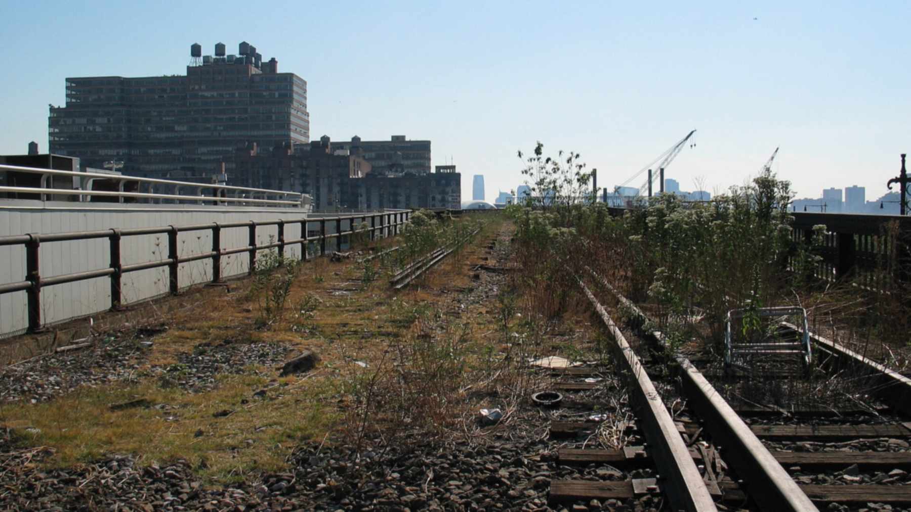Vías abandonadas de la High Line cubiertas de hierbas y arbustos, con edificios de Manhattan al fondo