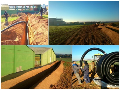 fsdfsdfadsadadas 41 original