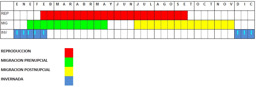 graficosadsadasd 80 original