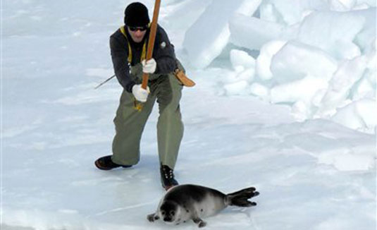 jhtegdfjjjj 27 original