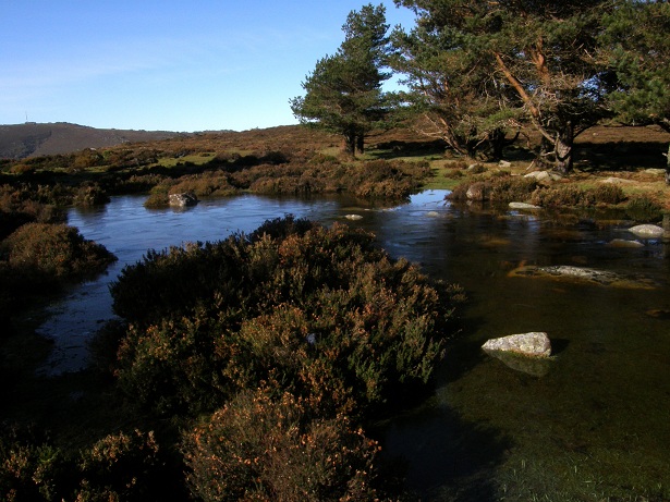 BoalPenouta1 81 original