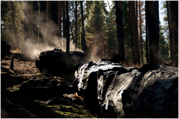 Hoy arde España y mañana qué 1 11 50 original