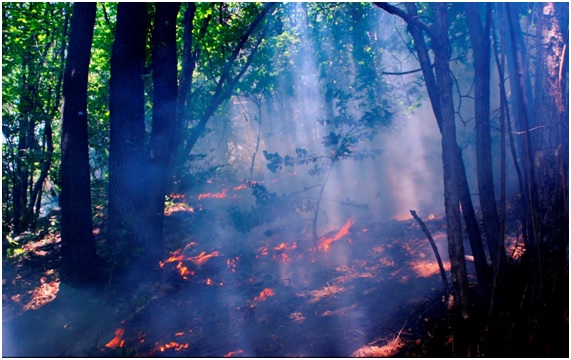Hoy arde España y mañana qué 2 12 21 original