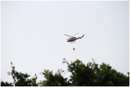 Hoy arde España y mañana qué 3 13 75 original