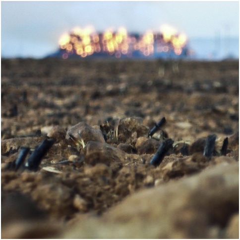 Hoy arde España y mañana qué 8 19 16 original