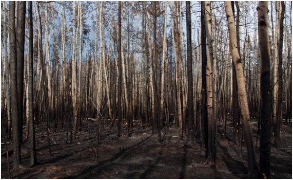 Hoy arde España y mañana qué 11 22 70 original