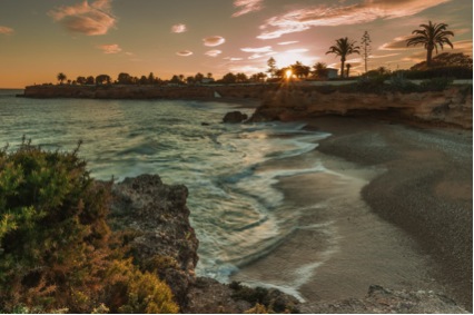 Proyecto castor6 60 original